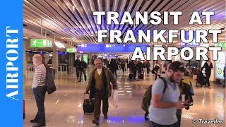 TRANSIT WALK AT FRANKFURT Airport FRA Terminal 1  Connection Flight Transfer Arriving amp Departing [upl. by Ecydnarb589]